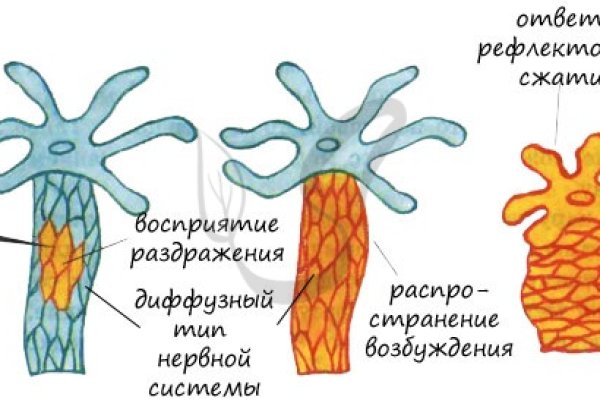 Регистрация кракен